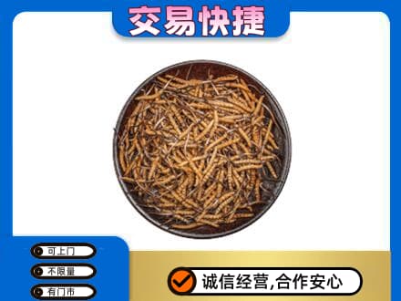 通辽回收散虫草